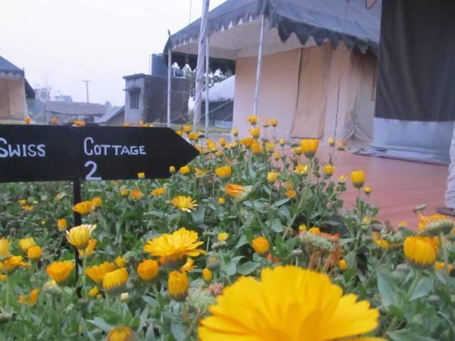 Derra Camp And Resort Jhajra Экстерьер фото